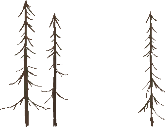 A set of three tall thin bare pine trunks painted in dark brown with no needles, the skeletal variant sprites used to break up the denser pines
